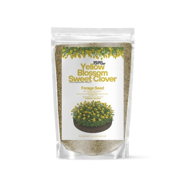 Old Cobblers Farm™ Wicked Tuff Turf Sweet Clover (Legumes)