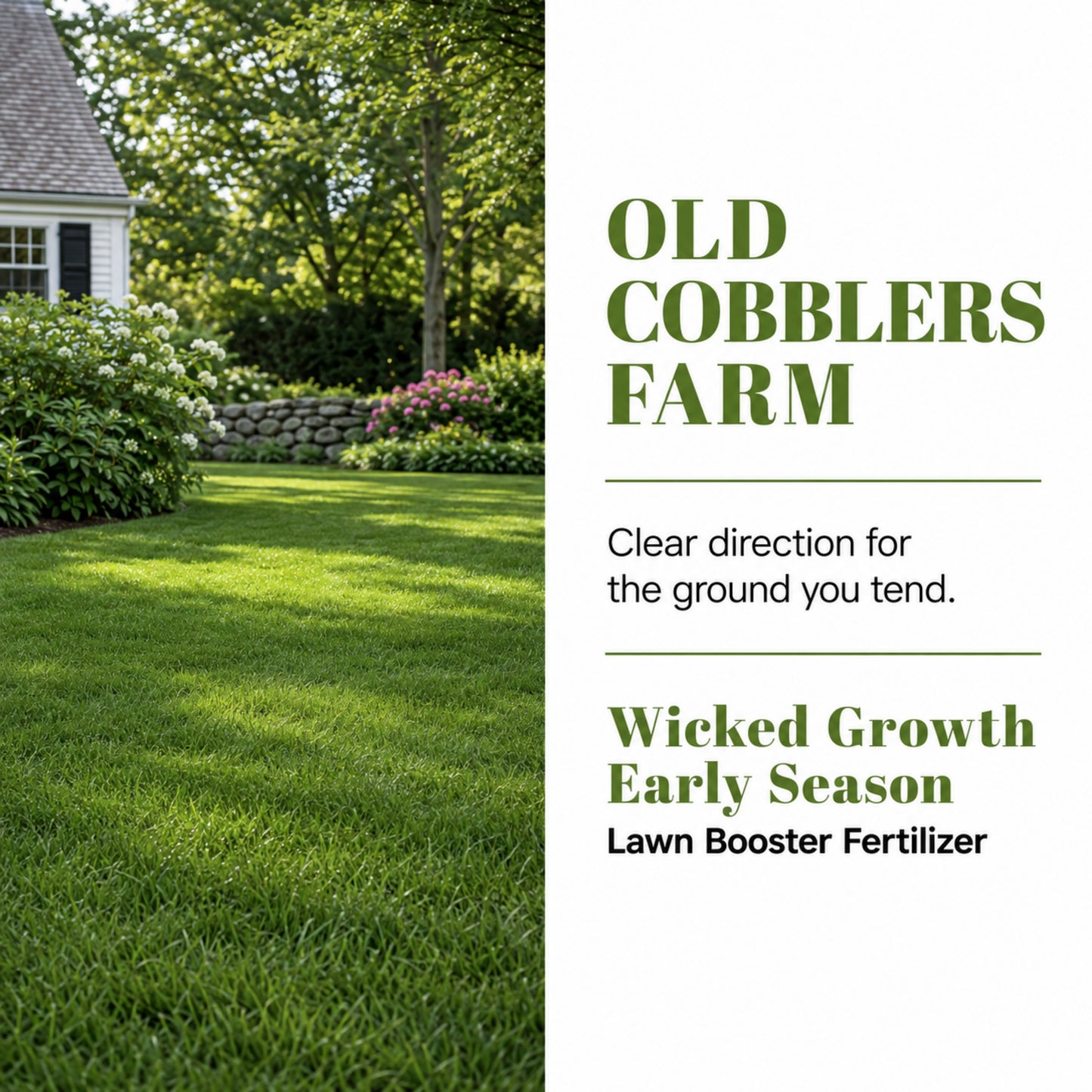 Wicked Growth Early Season Lawn Booster 6-16-12 Fertilizer