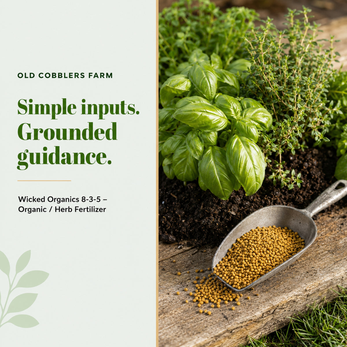 Wicked Organics Herb Fertilizer
