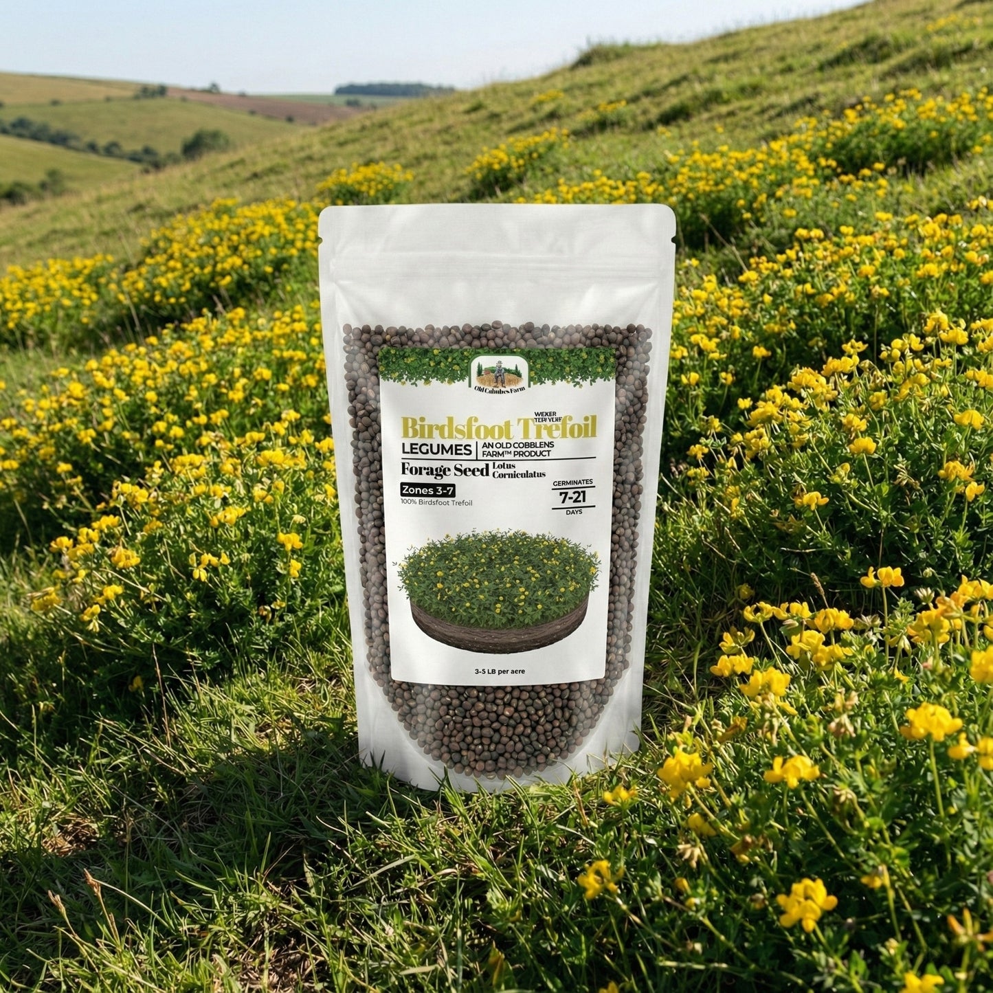 Wicked Tuff Turf Birdsfoot Trefoil Seed