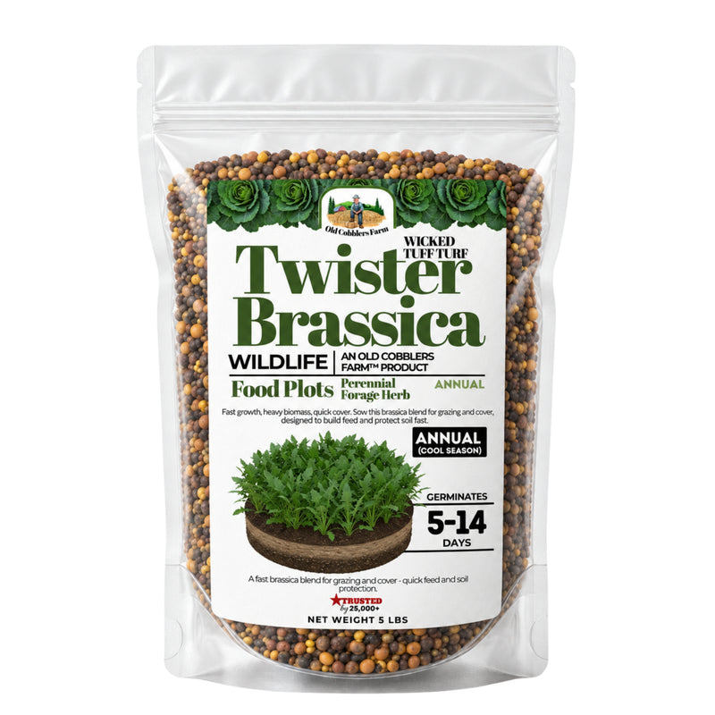 Wicked Tuff Turf Brassica Seed