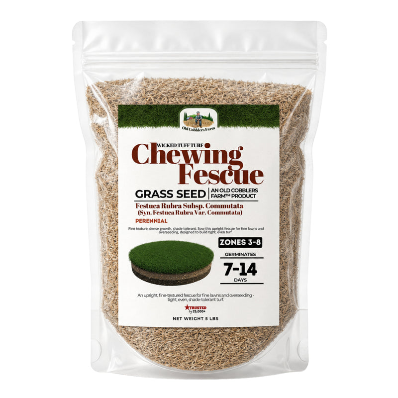 Wicked Tuff Turf Chewings Fescue Seed - Old Cobblers Farm