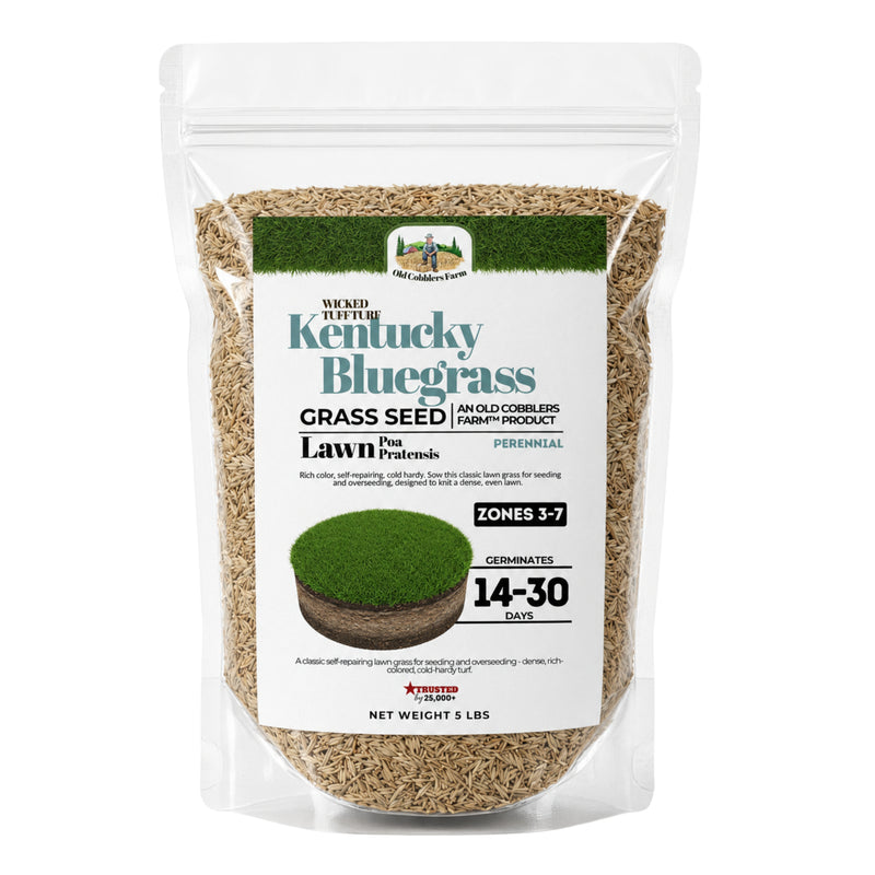 Wicked Tuff Turf Kentucky Bluegrass Seed - Old Cobblers Farm