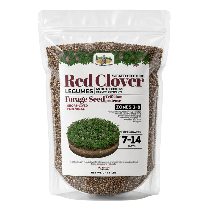 Wicked Tuff Turf Red Clover Seed - Old Cobblers Farm