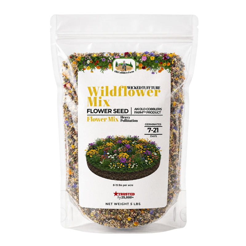 Wicked Tuff Turf Wildflower Mix Seed - Old Cobblers Farm