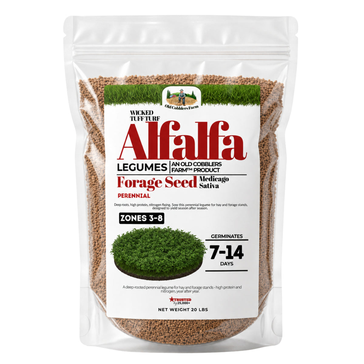 Wicked Tuff Turf Alfalfa Seed