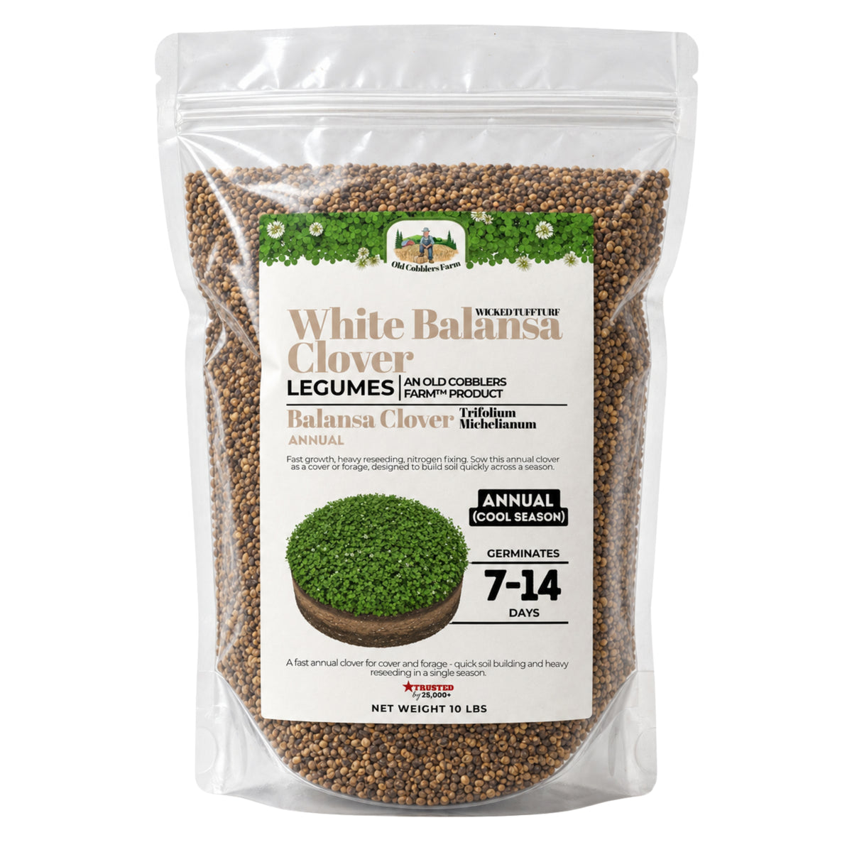 Wicked Tuff Turf Balansa Clover Seed