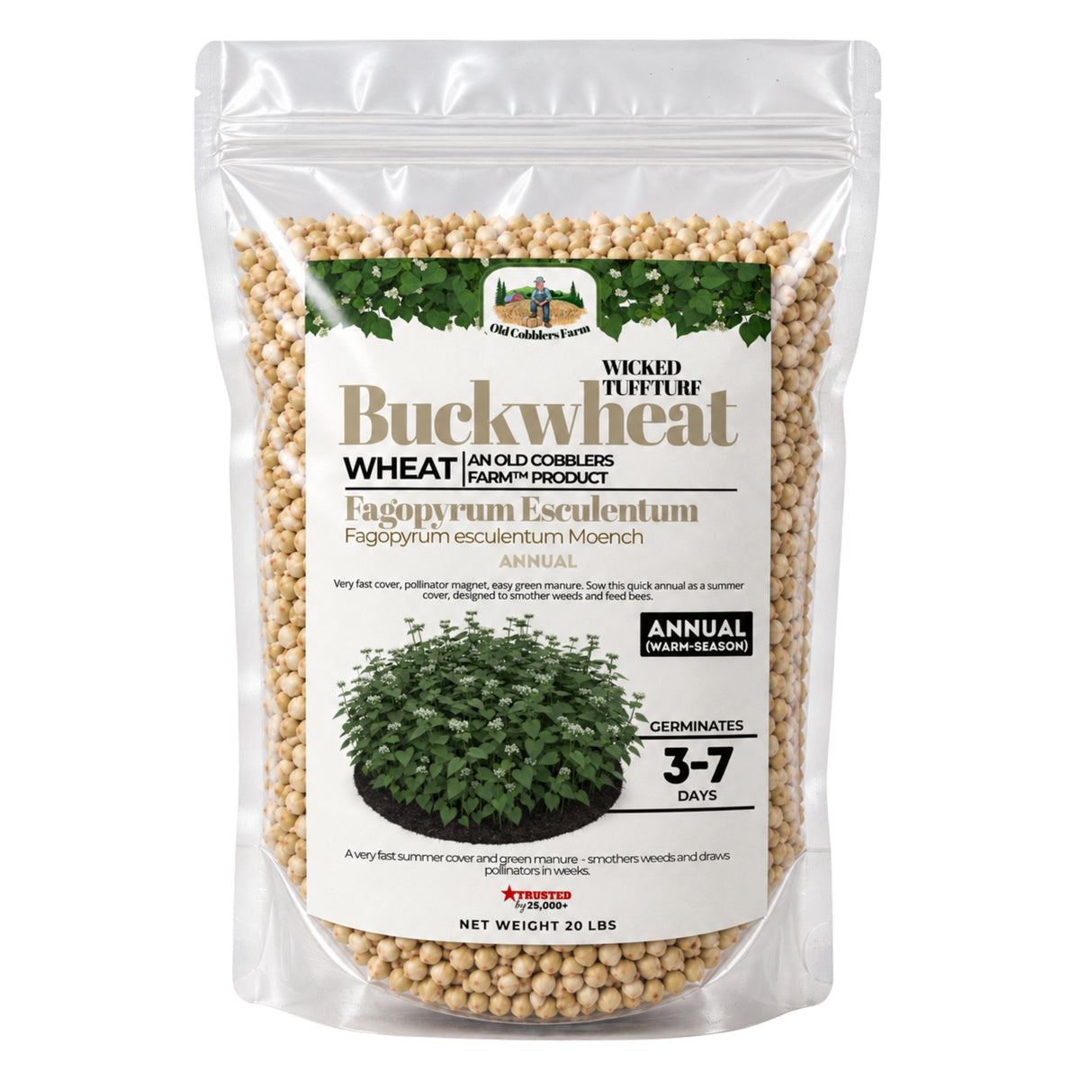 Wicked Tuff Turf Buckwheat Seed