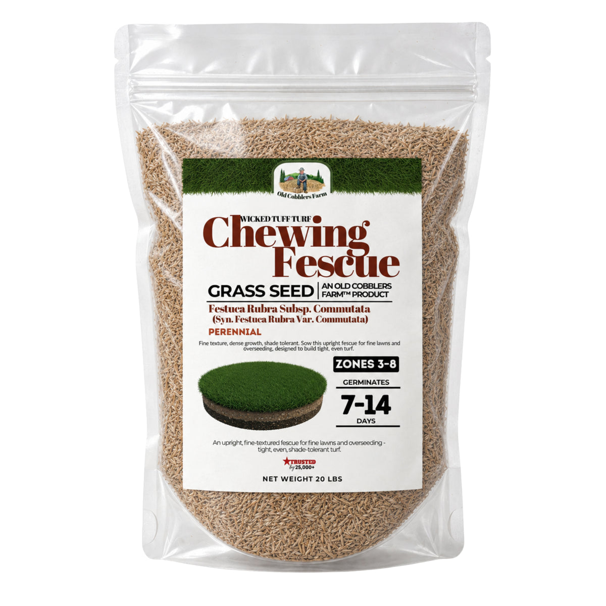 Wicked Tuff Turf Chewings Fescue Seed