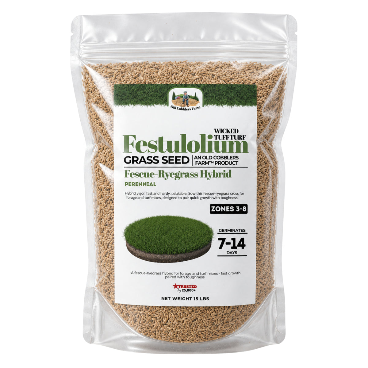 Wicked Tuff Turf Festulolium Seed