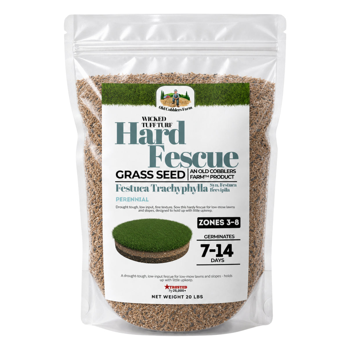 Wicked Tuff Turf Hard Fescue Seed