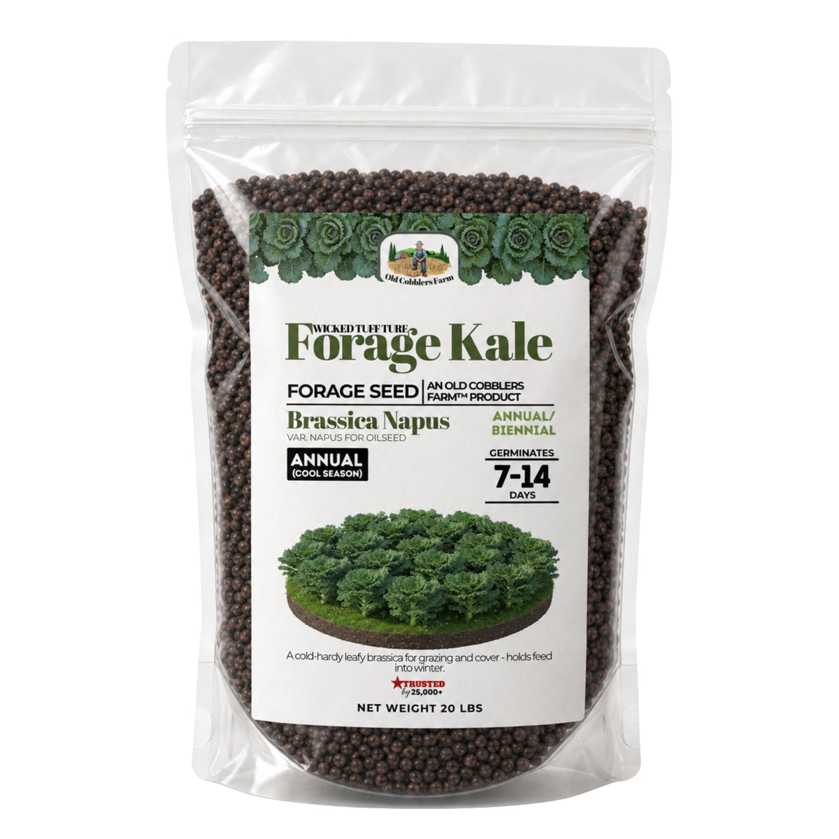 Wicked Tuff Turf Kale Seed