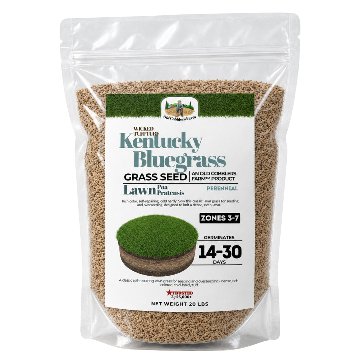 Wicked Tuff Turf Kentucky Bluegrass Seed