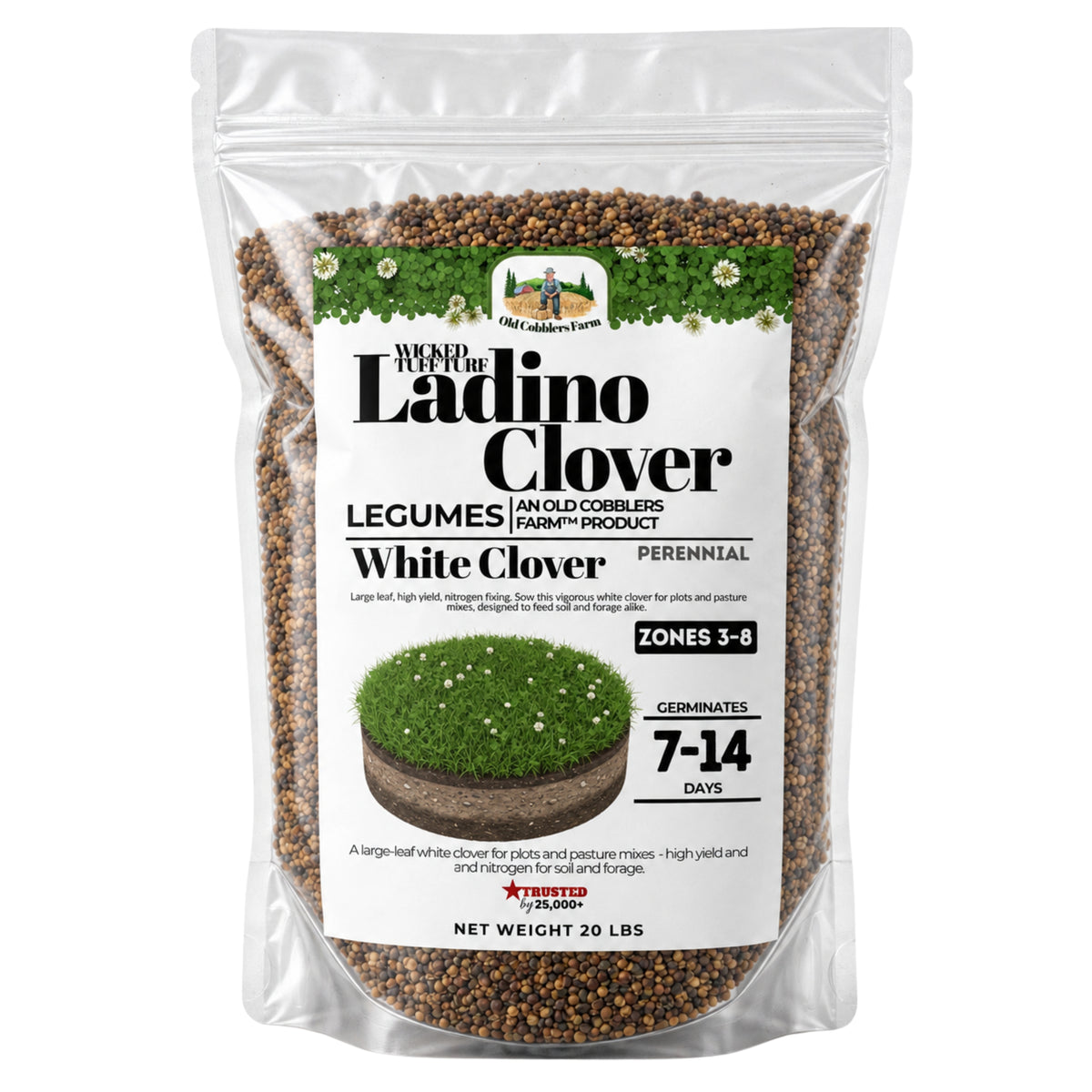 Wicked Tuff Turf Ladino Clover Seed