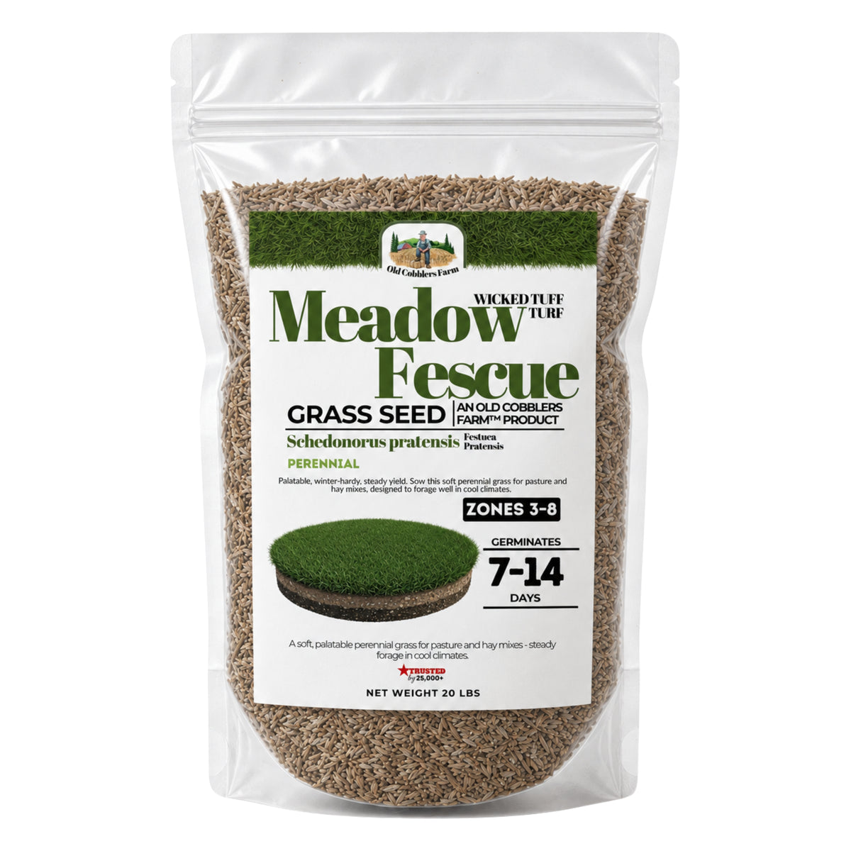 Wicked Tuff Turf Meadow Fescue Seed