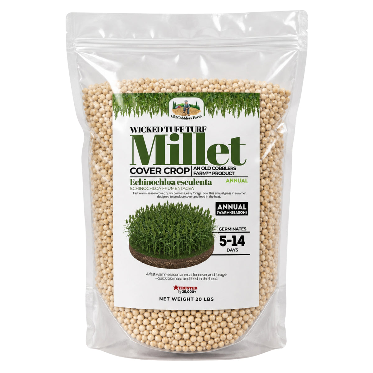 Wicked Tuff Turf Millet Seed