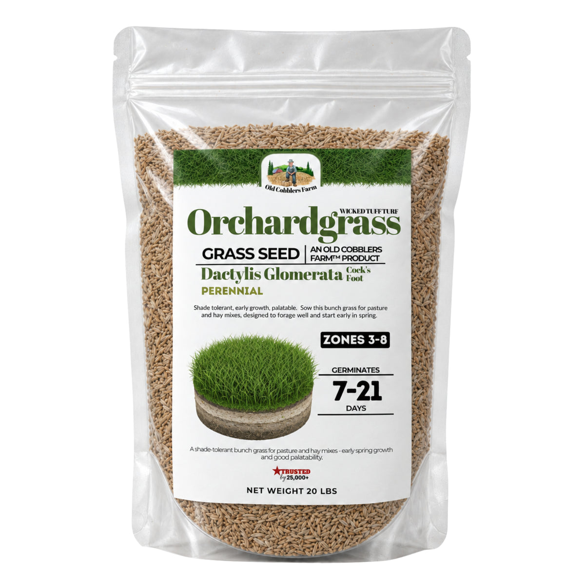 Wicked Tuff Turf Orchardgrass Seed