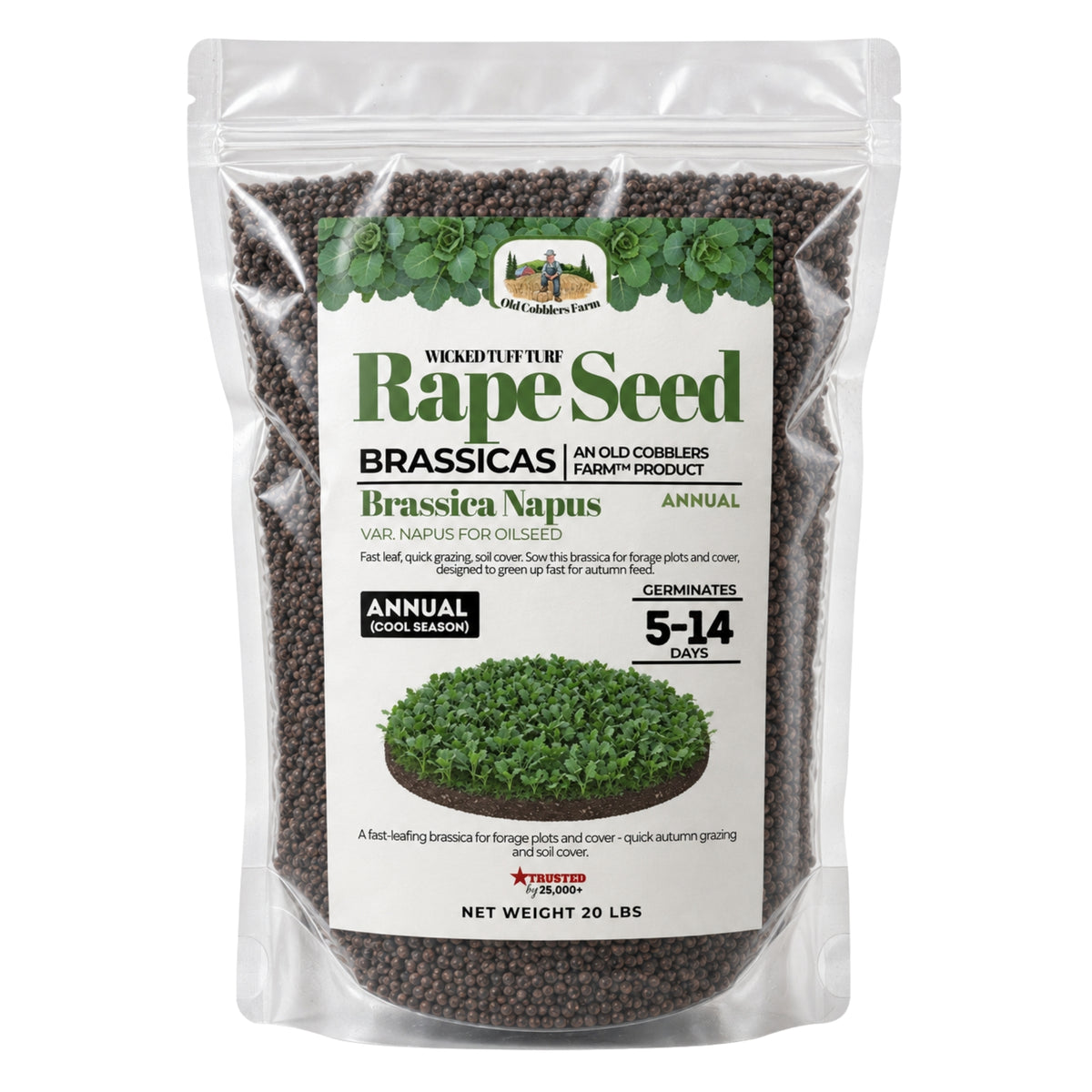 Wicked Tuff Turf Rape Seed