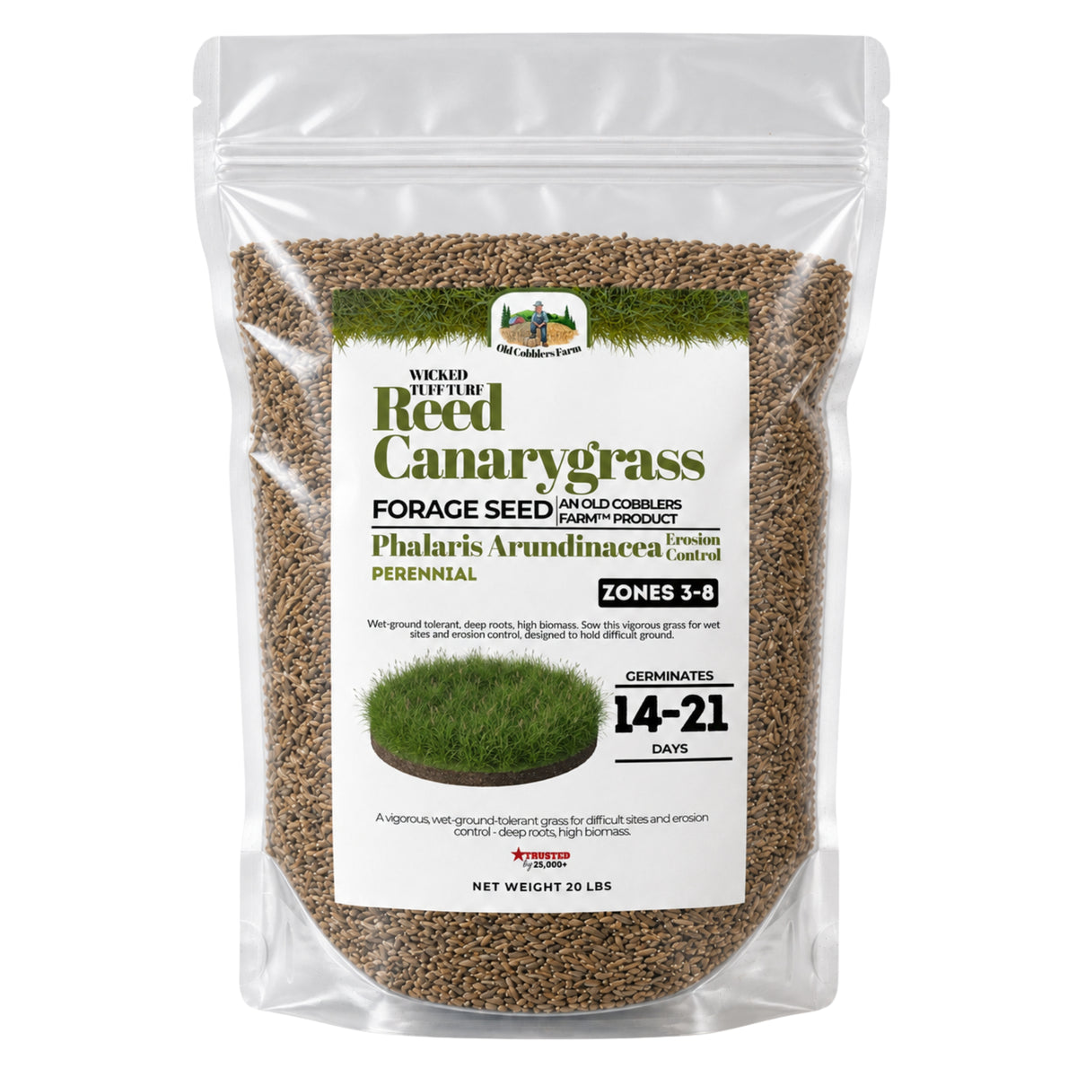 Wicked Tuff Turf Reed Canarygrass Seed