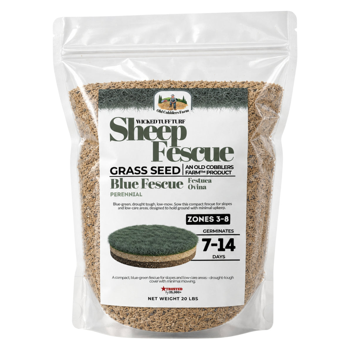 Wicked Tuff Turf Sheep Fescue Seed