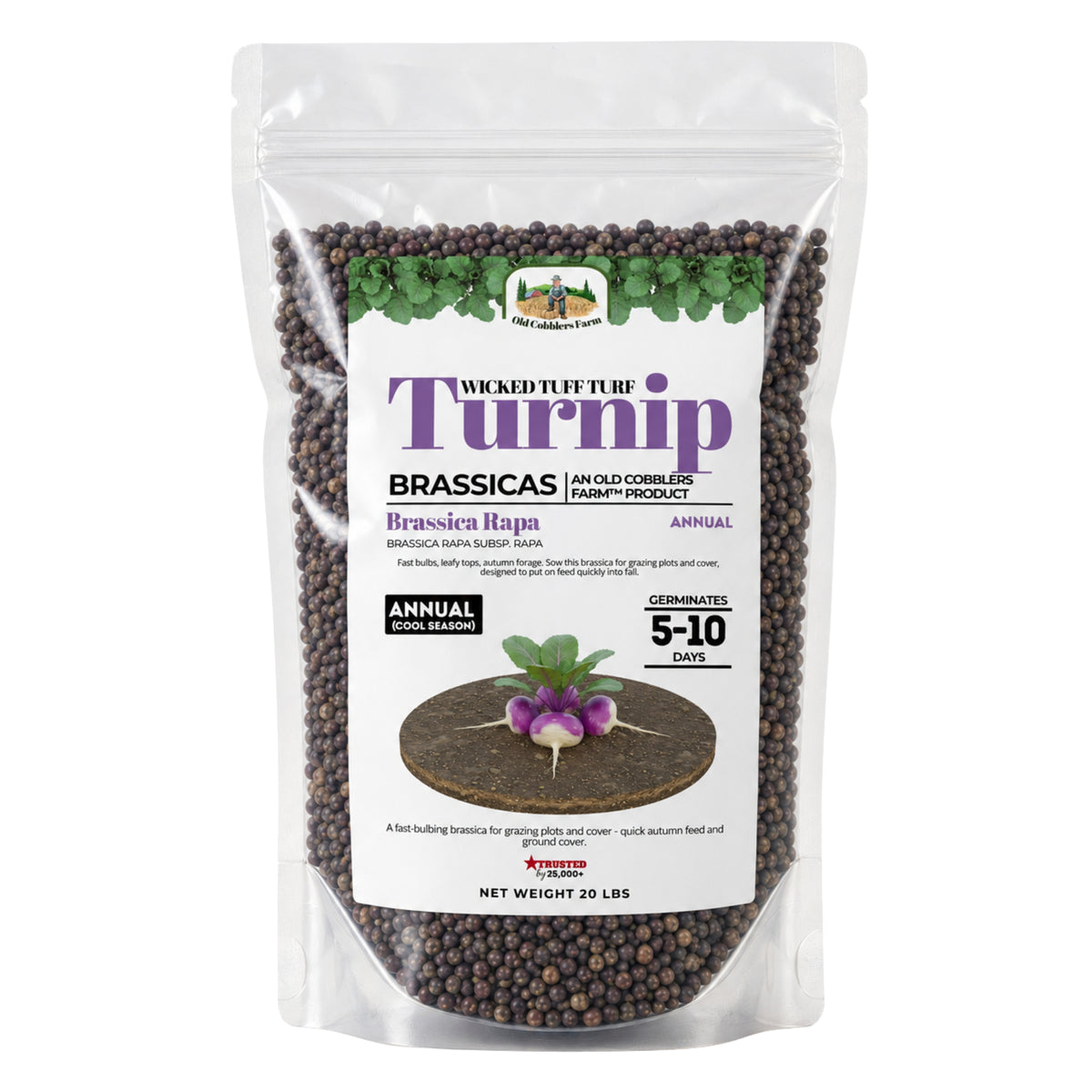 Wicked Tuff Turf Turnip Seed