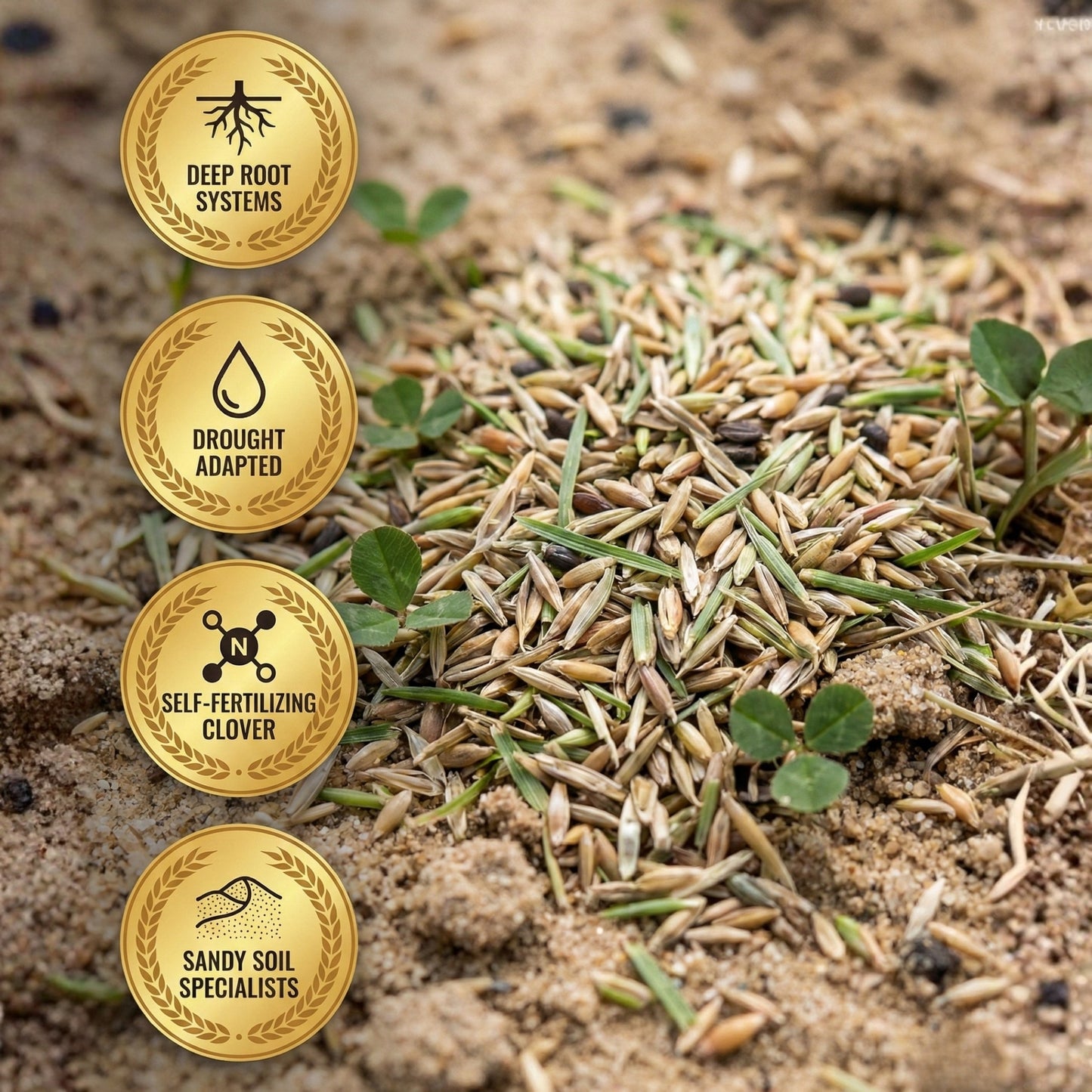 Wicked Tuff Turf Sandy Soil Lawn Seed Mix