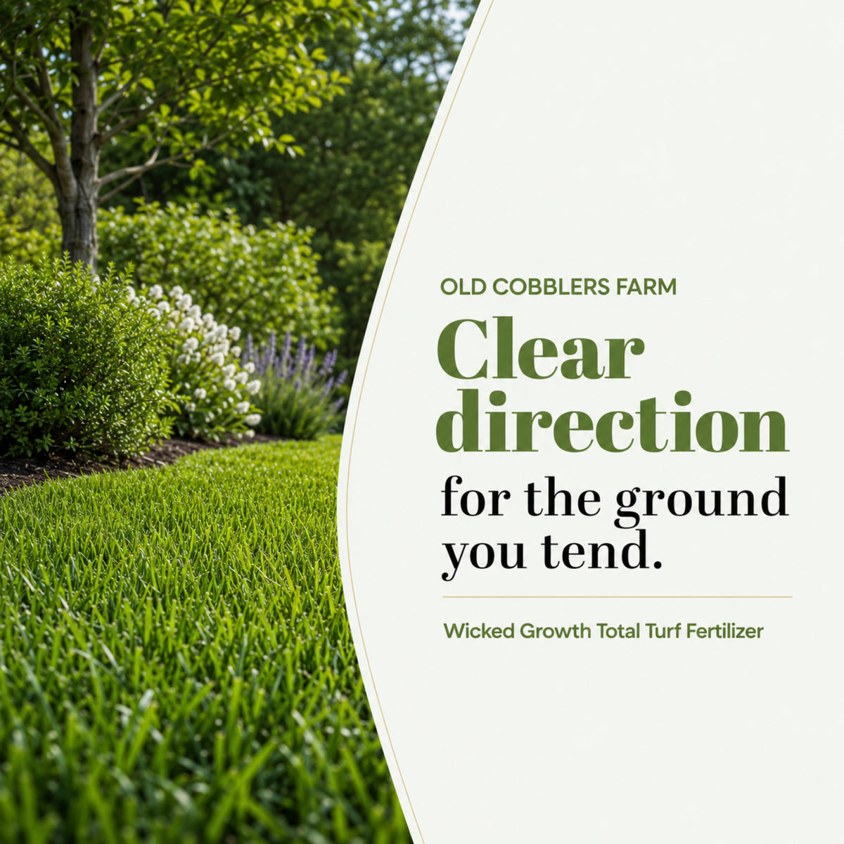 Wicked Growth Total Turf Lawn Fertilizer