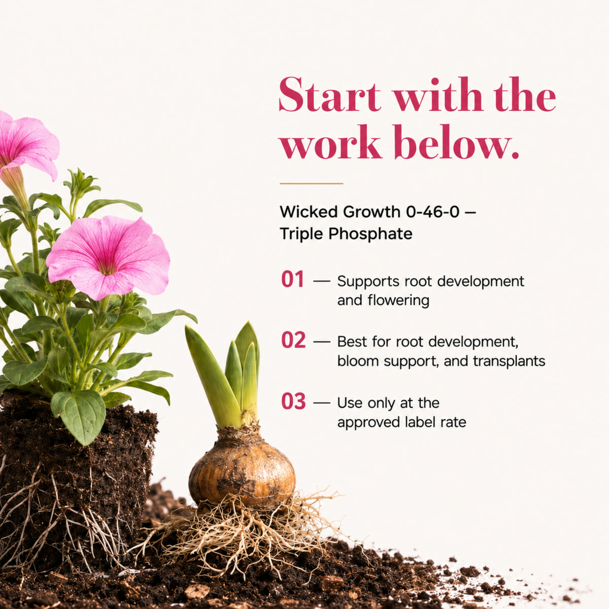 Wicked Growth 0-46-0 Fertilizer