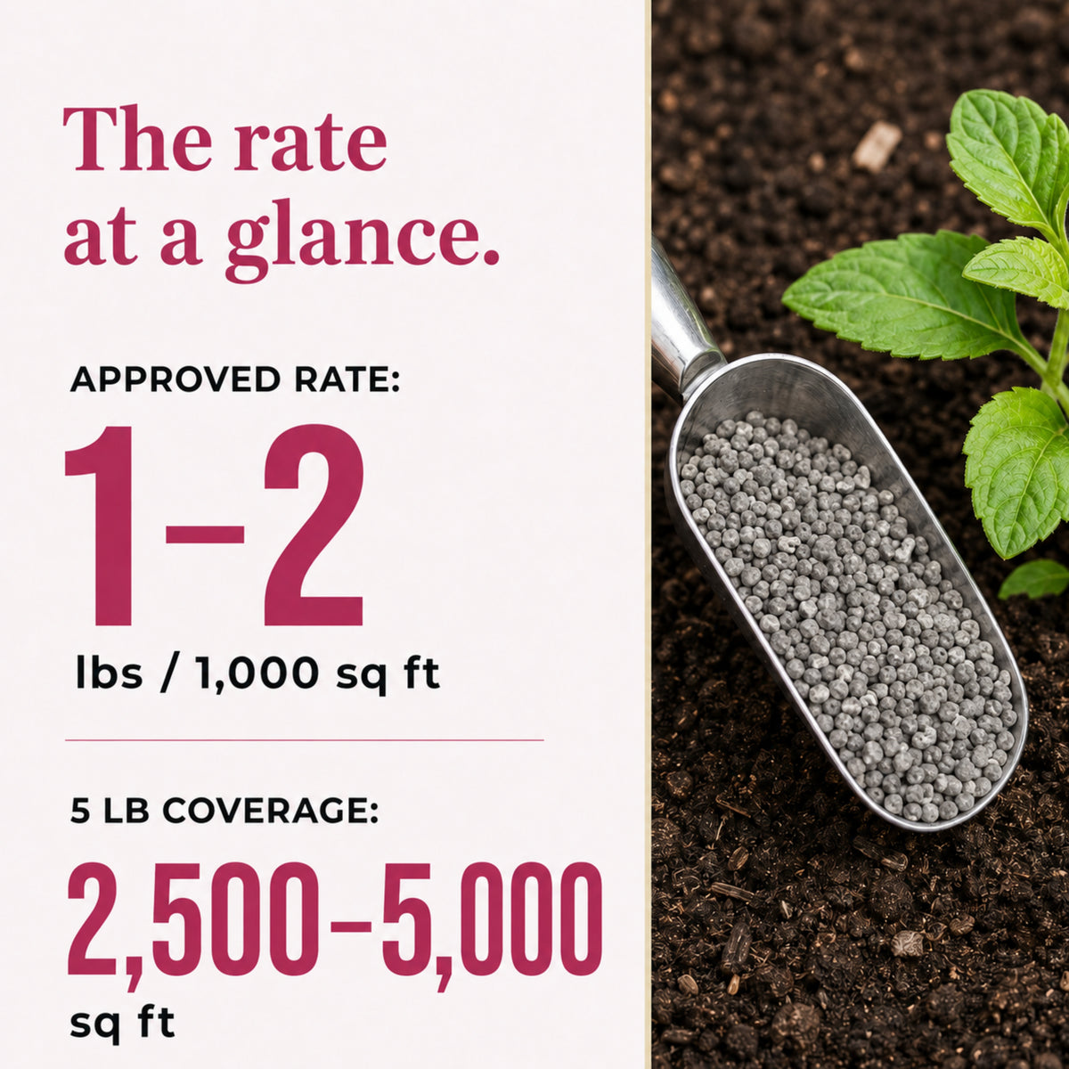 Wicked Growth 0-46-0 Fertilizer