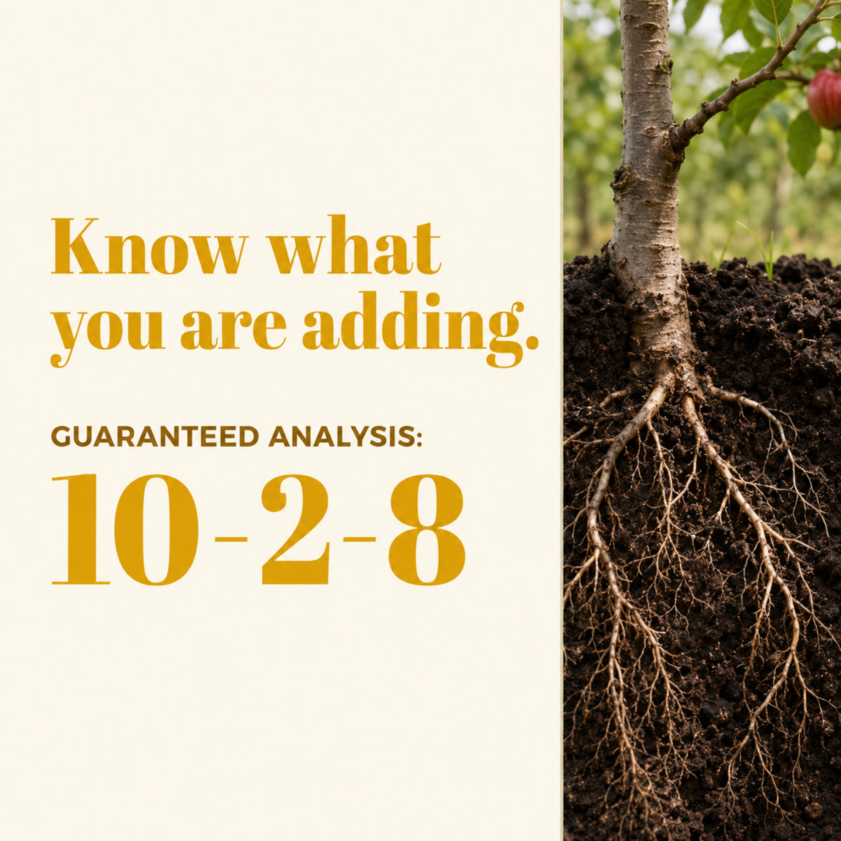 Wicked Organics 10-2-8 Fertilizer