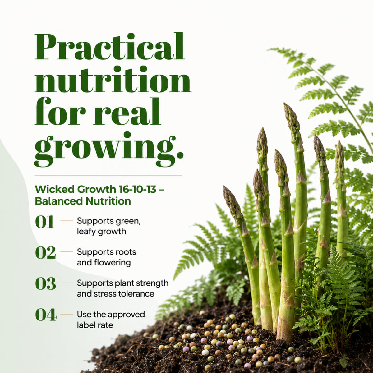 Wicked Growth 16-10-13 – Balanced Nutrition Fertilizer