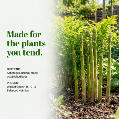 Wicked Growth 16-10-13 – Balanced Nutrition Fertilizer
