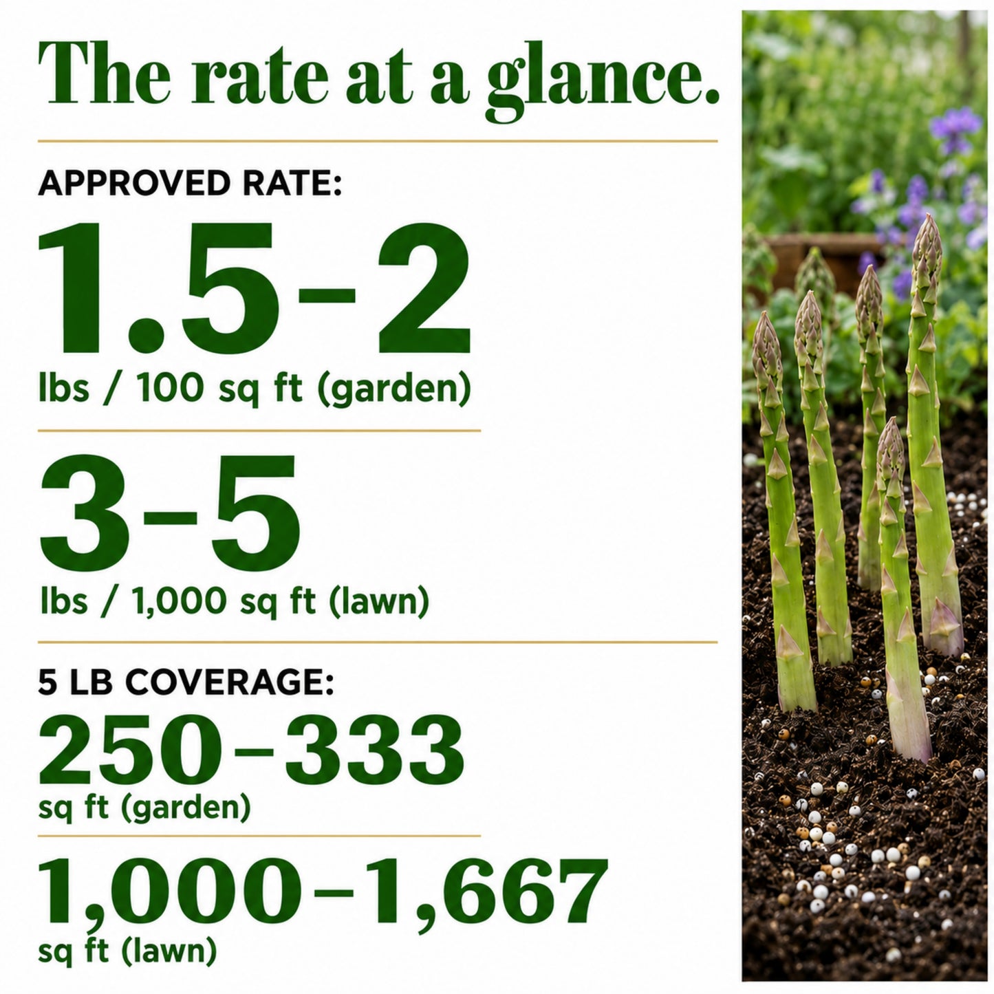Wicked Growth 16-10-13 – Balanced Nutrition Fertilizer