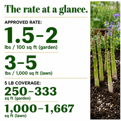 Wicked Growth 16-10-13 – Balanced Nutrition Fertilizer