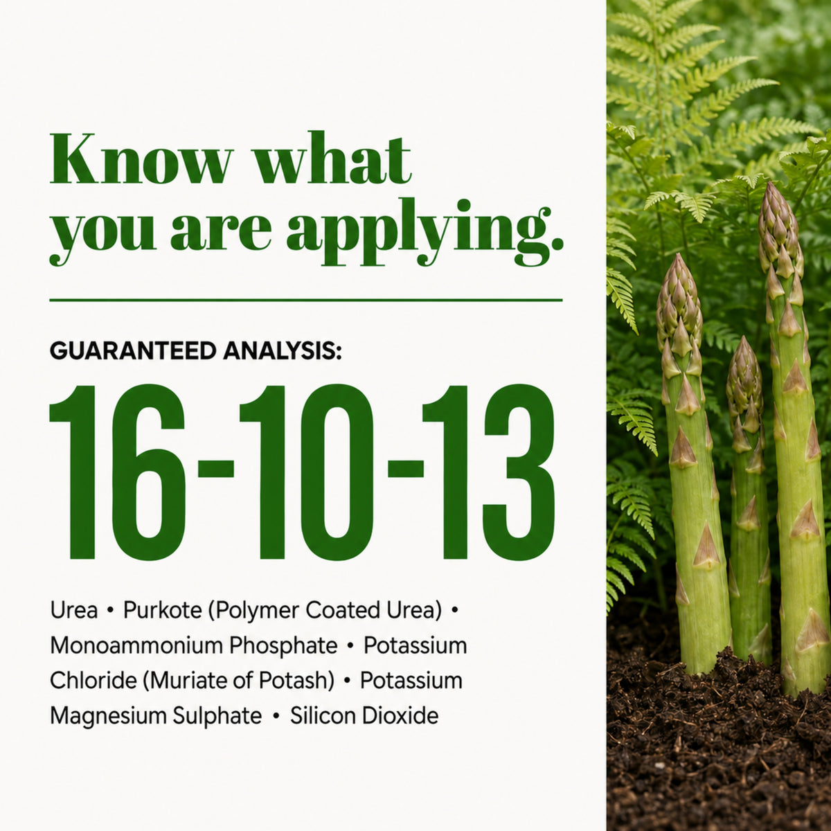 Wicked Growth 16-10-13 – Balanced Nutrition Fertilizer