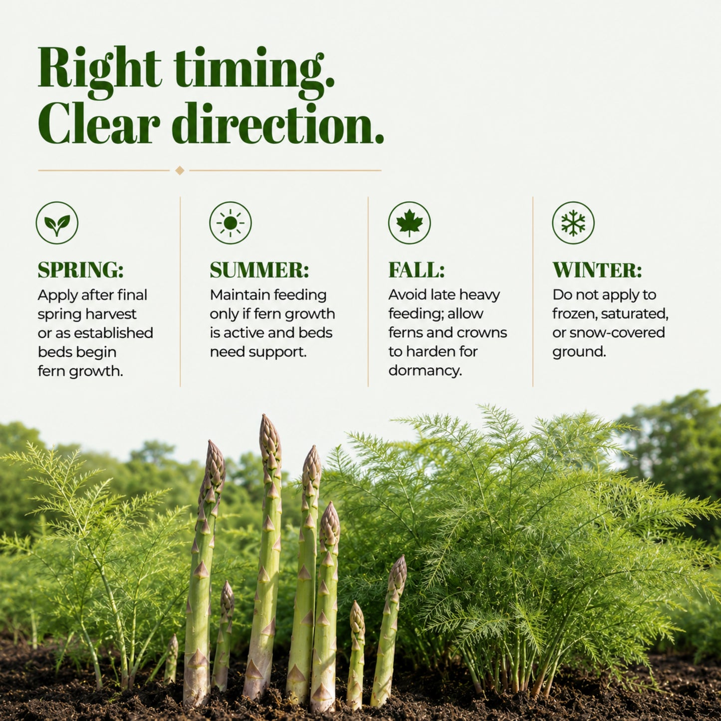 Wicked Growth 16-10-13 – Balanced Nutrition Fertilizer