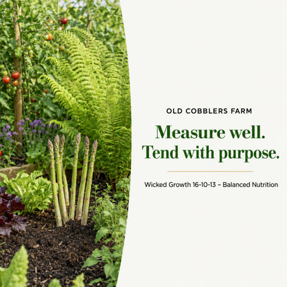 Wicked Growth 16-10-13 – Balanced Nutrition Fertilizer