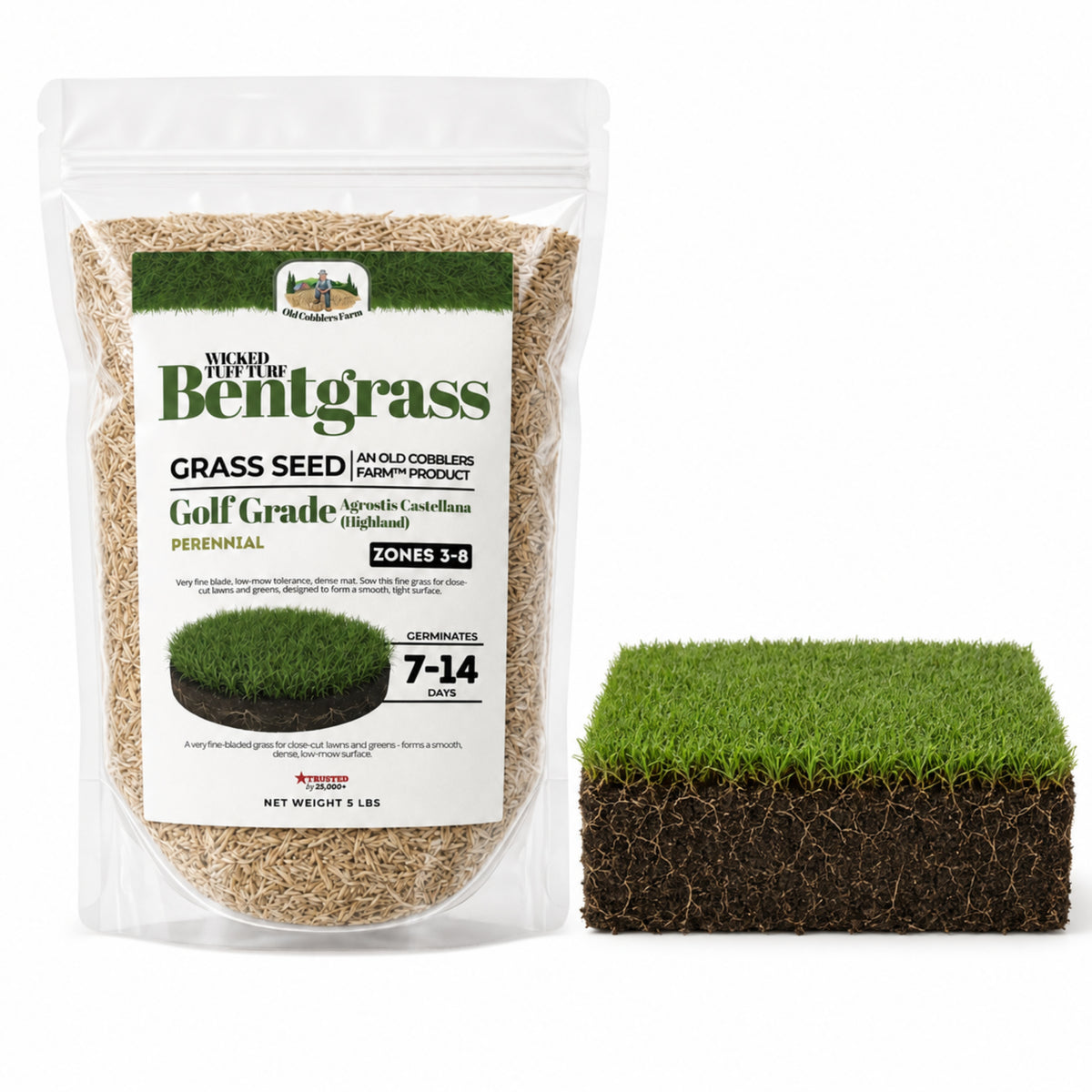 Wicked Tuff Turf Bentgrass Seed