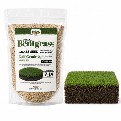 Wicked Tuff Turf Bentgrass Seed
