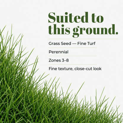 Wicked Tuff Turf Bentgrass Seed