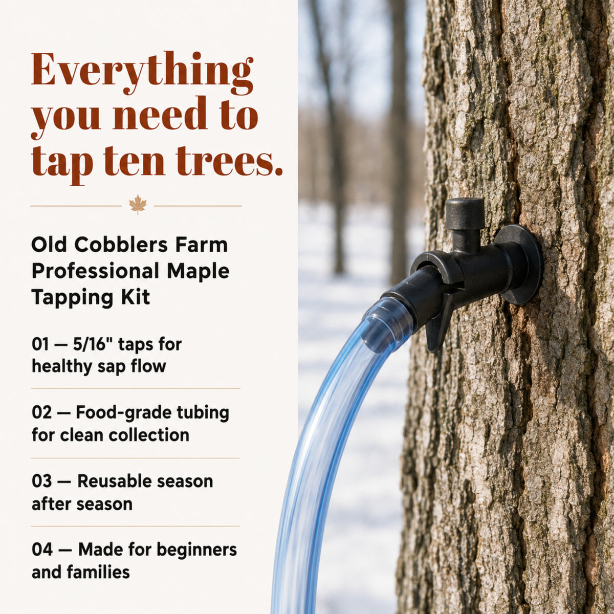 Wicked Tapping Maple Tapping Kit