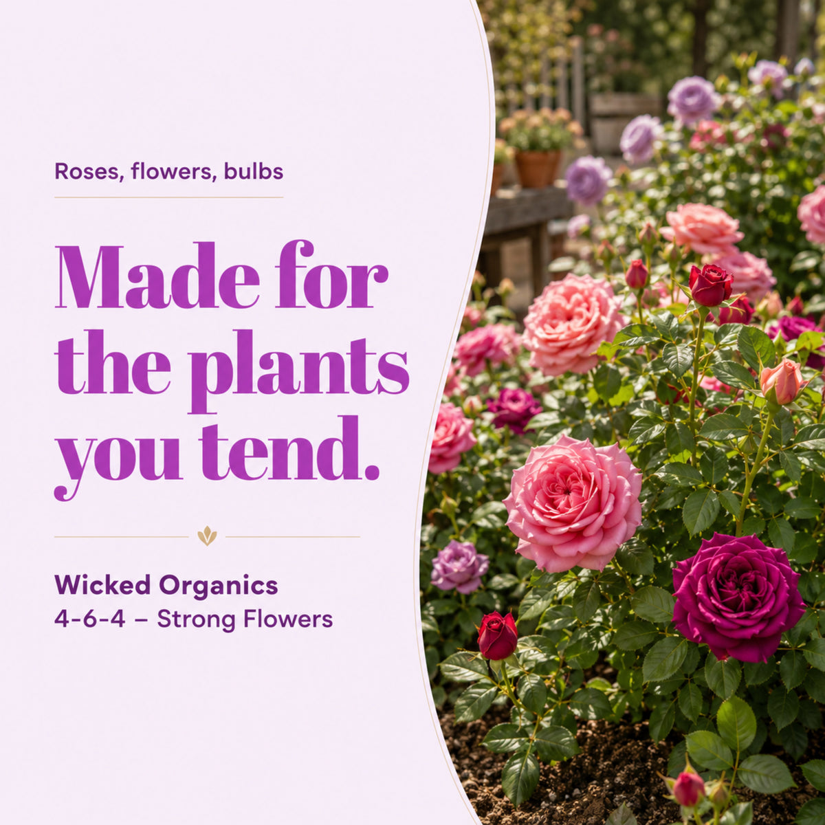 Wicked Organics 4-6-4 Fertilizer
