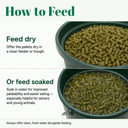 Wicked Feed Alfalfa Pellets