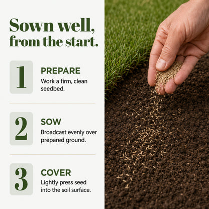 Wicked Tuff Turf Bentgrass Seed