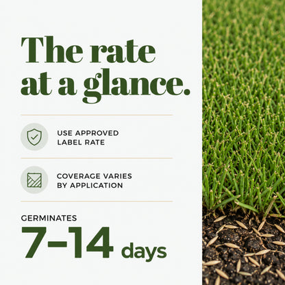 Wicked Tuff Turf Bentgrass Seed
