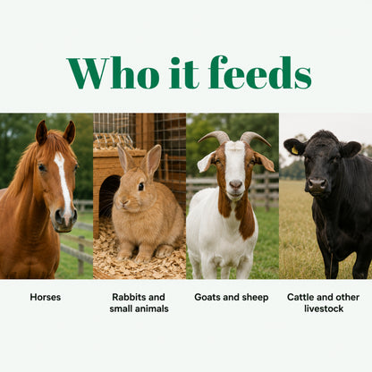Wicked Feed Alfalfa Pellets