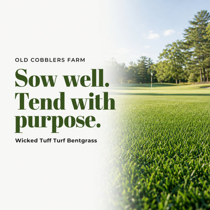 Wicked Tuff Turf Bentgrass Seed