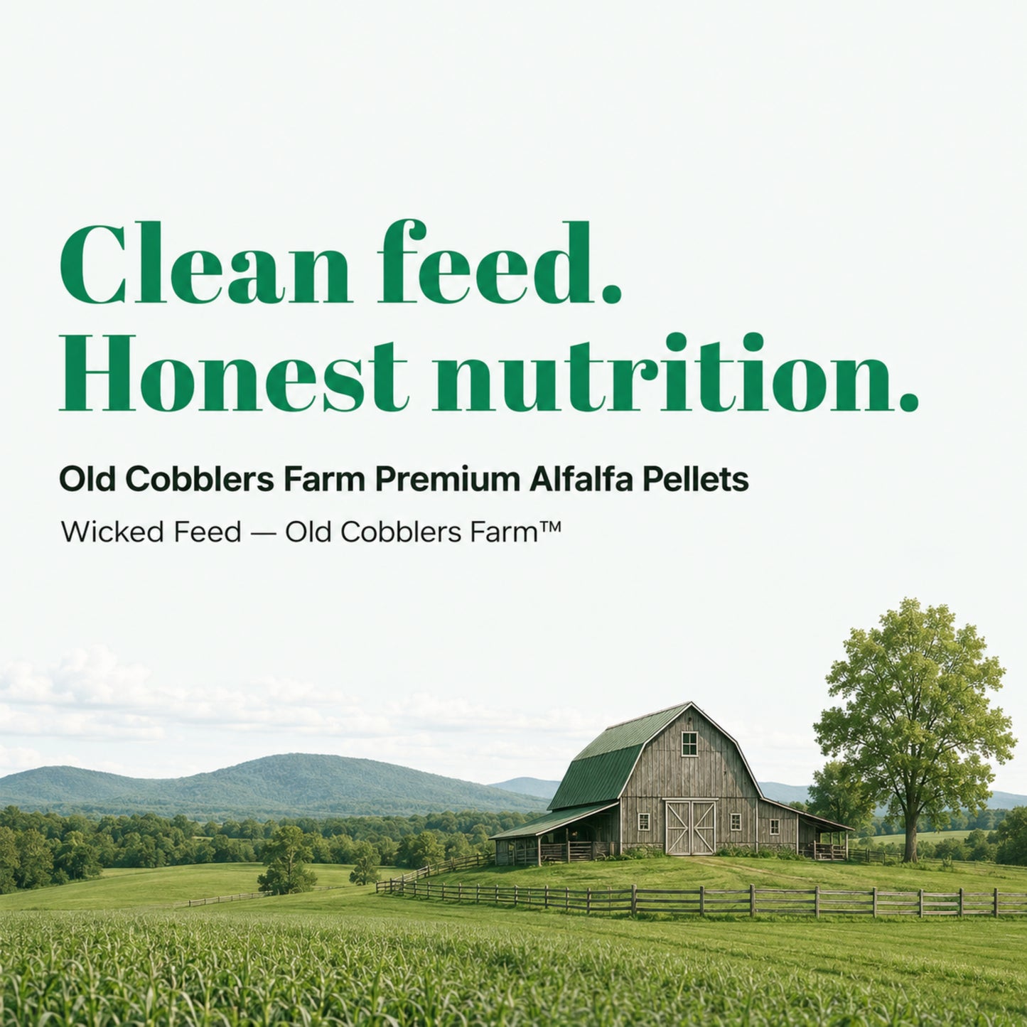 Wicked Feed Alfalfa Pellets