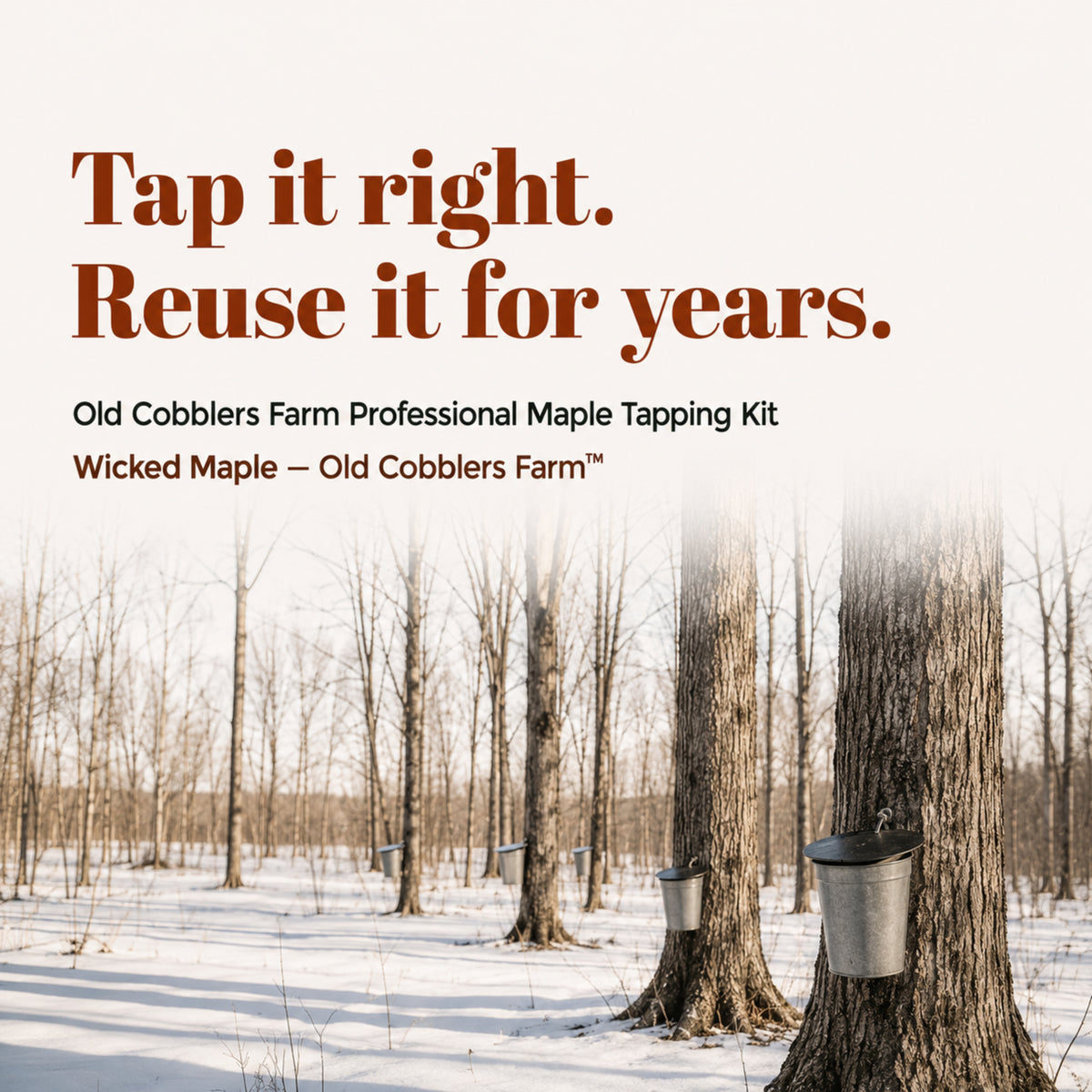 Wicked Tapping Maple Tapping Kit