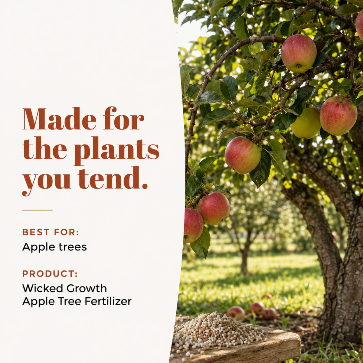 Wicked Growth Apple Tree Fertilizer